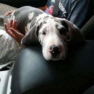 Meet your Posher, Jayme